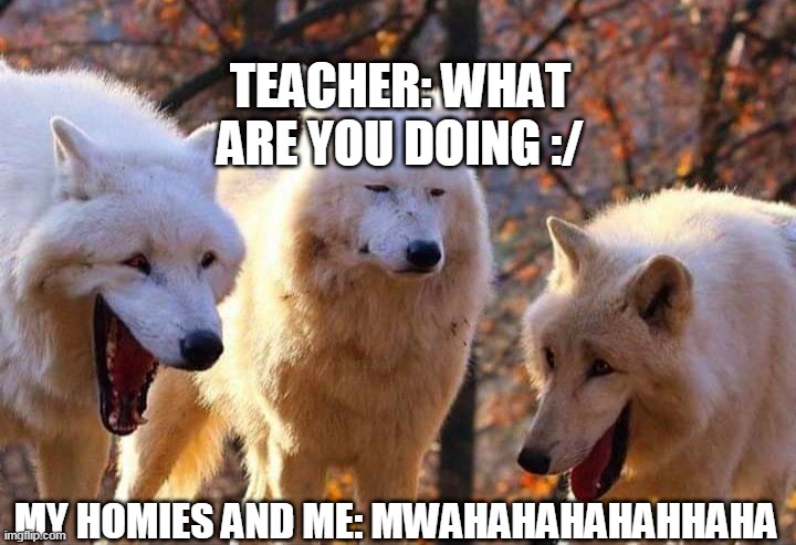 Laughing wolf | TEACHER: WHAT ARE YOU DOING :/; MY HOMIES AND ME: MWAHAHAHAHAHHAHA | image tagged in laughing wolf | made w/ Imgflip meme maker