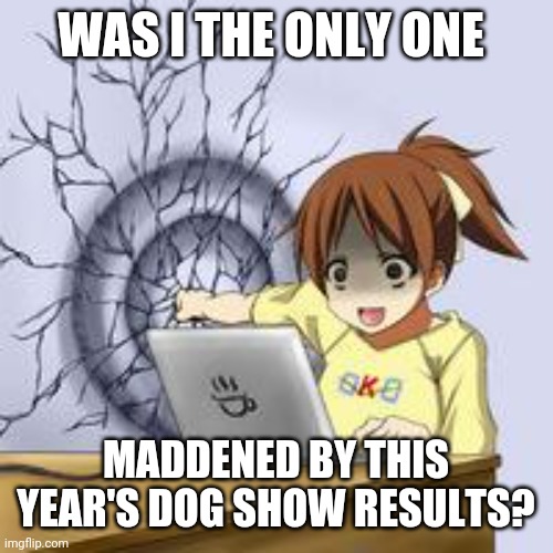 Anime wall punch | WAS I THE ONLY ONE; MADDENED BY THIS YEAR'S DOG SHOW RESULTS? | image tagged in anime wall punch | made w/ Imgflip meme maker