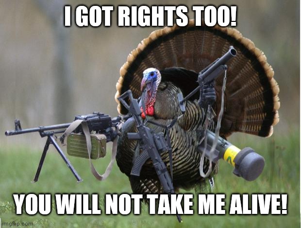 TACTICAL TURKEY | I GOT RIGHTS TOO! YOU WILL NOT TAKE ME ALIVE! | image tagged in turkey,thanksgiving,funny,funny memes,crazy,fun | made w/ Imgflip meme maker