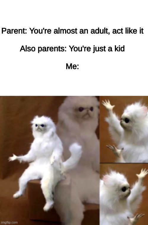 Wut | Parent: You're almost an adult, act like it
 
Also parents: You're just a kid
 
Me: | image tagged in blank white template,funny,memes,funny memes,cats,parents | made w/ Imgflip meme maker