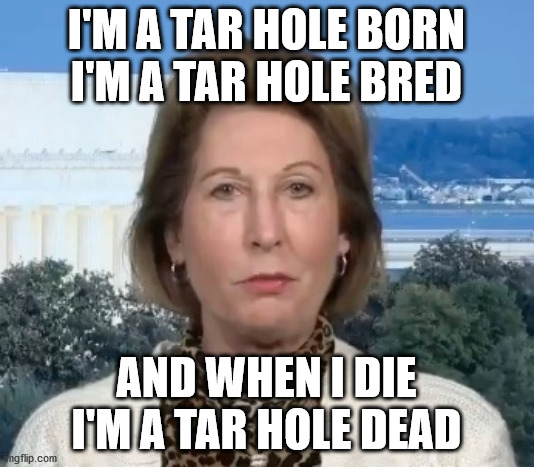 THE QUINTESSENTIAL NORTH CAROLINA TAR HOLE | I'M A TAR HOLE BORN
I'M A TAR HOLE BRED; AND WHEN I DIE
I'M A TAR HOLE DEAD | image tagged in hillbilly,hysteria,conspiracy theories | made w/ Imgflip meme maker