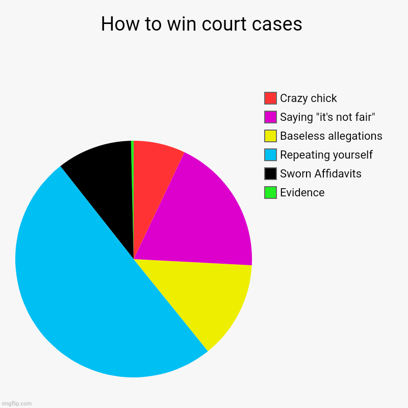 How to win court cases | Evidence , Sworn Affidavits , Repeating yourself, Baseless allegations , Saying "it's not fair", Crazy chick | image tagged in charts,pie charts | made w/ Imgflip chart maker