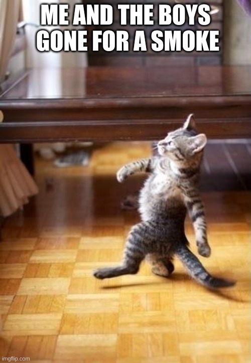 Cool Cat Stroll | ME AND THE BOYS  GONE FOR A SMOKE | image tagged in memes,cool cat stroll | made w/ Imgflip meme maker