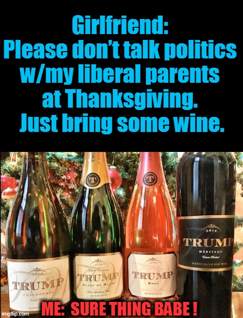 A Joke To Bridge The Wide Divide.... | Girlfriend: 

Please don’t talk politics 
w/my liberal parents 
at Thanksgiving. 
Just bring some wine. ME:  SURE THING BABE ! | image tagged in politics,political meme,politics lol,political humor,happy thanksgiving | made w/ Imgflip meme maker