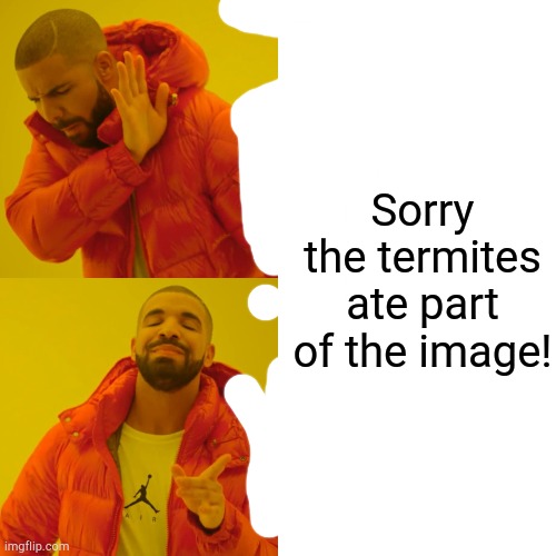 Termites | Sorry the termites ate part of the image! | image tagged in memes,drake hotline bling,funny,too funny,funny memes | made w/ Imgflip meme maker