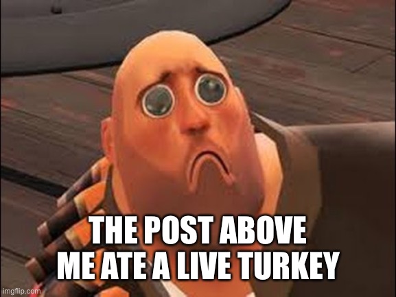 Sad Heavy | THE POST ABOVE ME ATE A LIVE TURKEY | image tagged in sad heavy | made w/ Imgflip meme maker