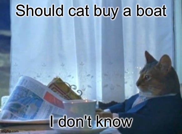 Really can a cat buy a boat | Should cat buy a boat; I don't know | image tagged in memes,i should buy a boat cat,cats,confusion | made w/ Imgflip meme maker
