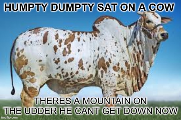 HD HAD A BAD TIME | HUMPTY DUMPTY SAT ON A COW; THERES A MOUNTAIN ON THE UDDER HE CANT GET DOWN NOW | image tagged in funny | made w/ Imgflip meme maker