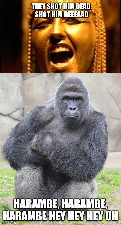 Zombie Harambe | THEY SHOT HIM DEAD,
SHOT HIM DEEEAAD; HARAMBE, HARAMBE, HARAMBE HEY HEY HEY OH | image tagged in harambe | made w/ Imgflip meme maker