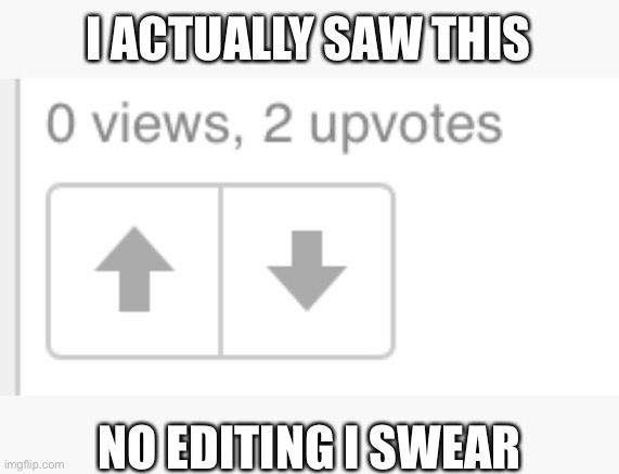 0 views 2 upvotes | I ACTUALLY SAW THIS; NO EDITING I SWEAR | image tagged in impossible,upvotes,views,crazy,how,stop reading the tags | made w/ Imgflip meme maker