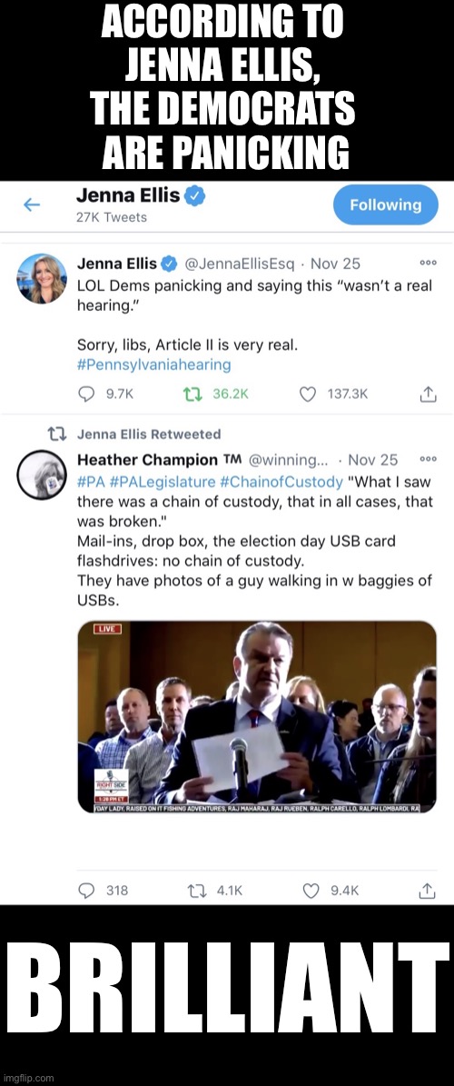 Folks, the Democrats are panicking. | ACCORDING TO 
JENNA ELLIS, 
THE DEMOCRATS 
ARE PANICKING; BRILLIANT | image tagged in democrat party,election 2020,election fraud,voter fraud,democratic socialism,government corruption | made w/ Imgflip meme maker