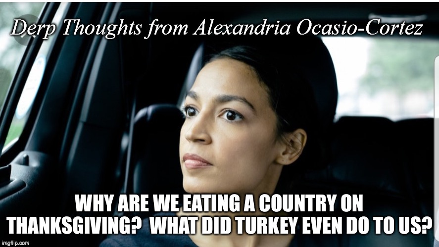 Derp Thoughts from AOC | WHY ARE WE EATING A COUNTRY ON THANKSGIVING?  WHAT DID TURKEY EVEN DO TO US? | image tagged in derp thoughts from aoc | made w/ Imgflip meme maker