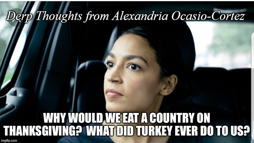 Derp thoughts with AOc | WHY WOULD WE EAT A COUNTRY ON THANKSGIVING?  WHAT DID TURKEY EVER DO TO US? | image tagged in derp thoughts from aoc,aoc,funny,memes | made w/ Imgflip meme maker