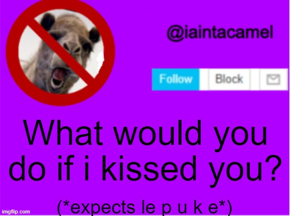 l e l | What would you do if i kissed you? (*expects le p u k e*) | image tagged in iaintacamel | made w/ Imgflip meme maker