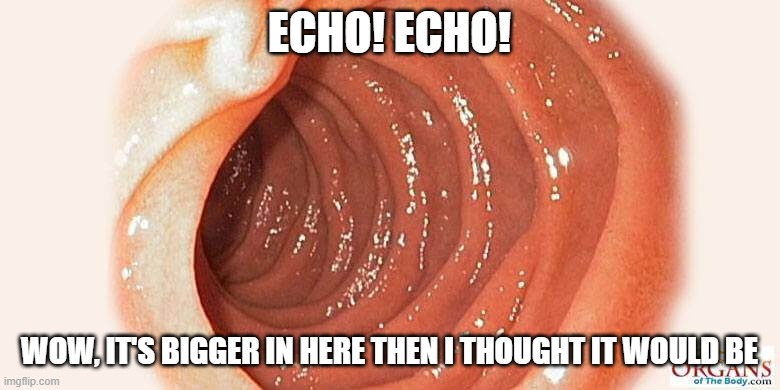 ECHO! ECHO! WOW, IT'S BIGGER IN HERE THEN I THOUGHT IT WOULD BE | made w/ Imgflip meme maker