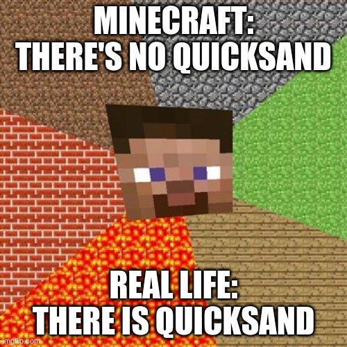 Minecraft Logic #6 | MINECRAFT: THERE'S NO QUICKSAND; REAL LIFE: THERE IS QUICKSAND | image tagged in minecraft steve,memes | made w/ Imgflip meme maker