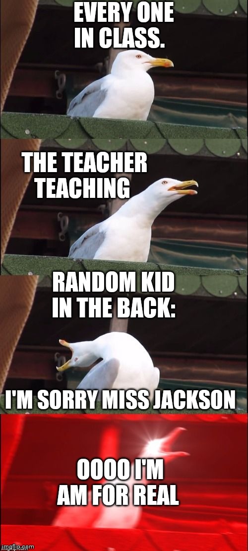 Segull Scream | EVERY ONE IN CLASS. THE TEACHER TEACHING; RANDOM KID IN THE BACK:; I'M SORRY MISS JACKSON; OOOO I'M AM FOR REAL | image tagged in segull scream | made w/ Imgflip meme maker