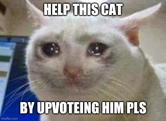 Pls | HELP THIS CAT; BY UPVOTEING HIM PLS | image tagged in sad cat | made w/ Imgflip meme maker