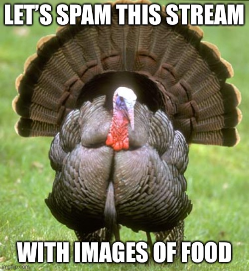 Turkey Meme | LET’S SPAM THIS STREAM; WITH IMAGES OF FOOD | image tagged in memes,turkey,food | made w/ Imgflip meme maker