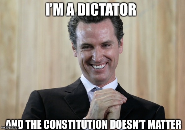 Scheming Gavin Newsom  | I’M A DICTATOR AND THE CONSTITUTION DOESN’T MATTER | image tagged in scheming gavin newsom | made w/ Imgflip meme maker