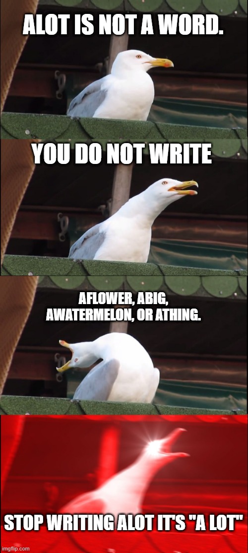 Inhaling Seagull | ALOT IS NOT A WORD. YOU DO NOT WRITE; AFLOWER, ABIG, AWATERMELON, OR ATHING. STOP WRITING ALOT IT'S "A LOT" | image tagged in memes,inhaling seagull | made w/ Imgflip meme maker