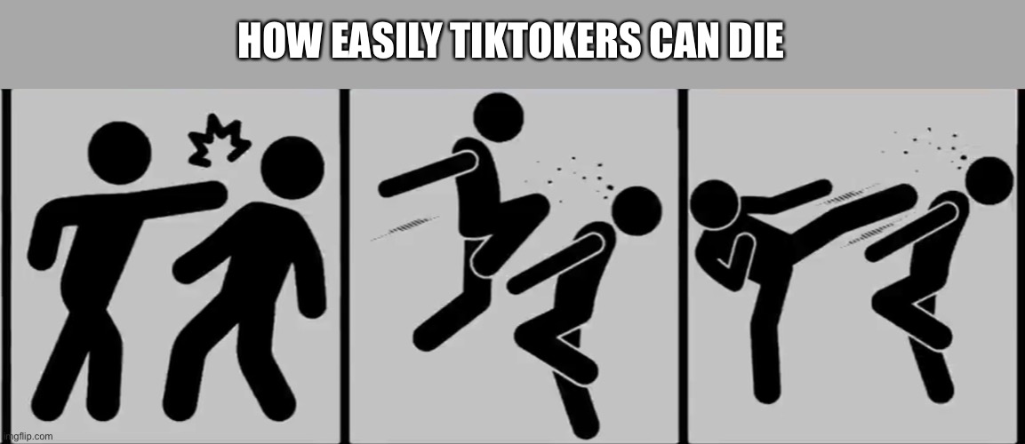 They’re such weaklings and idiots that they die through these methods. | HOW EASILY TIKTOKERS CAN DIE | made w/ Imgflip meme maker