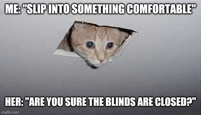 ceiling cat | ME: "SLIP INTO SOMETHING COMFORTABLE"; HER: "ARE YOU SURE THE BLINDS ARE CLOSED?" | image tagged in ceiling cat | made w/ Imgflip meme maker