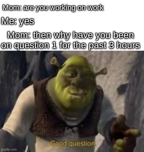 Good question | Mom: are you working on work; Me: yes; Mom: then why have you been on question 1 for the past 3 hours | image tagged in shrek good question,funny,memes,relatable | made w/ Imgflip meme maker