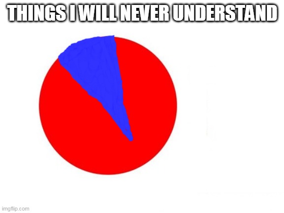circle graph | THINGS I WILL NEVER UNDERSTAND | image tagged in circle graph | made w/ Imgflip meme maker
