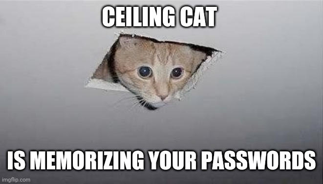 ceiling cat | CEILING CAT; IS MEMORIZING YOUR PASSWORDS | image tagged in ceiling cat | made w/ Imgflip meme maker