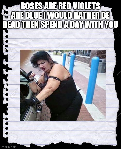 blank paper | ROSES ARE RED VIOLETS ARE BLUE I WOULD RATHER BE DEAD THEN SPEND A DAY WITH YOU | image tagged in blank paper | made w/ Imgflip meme maker