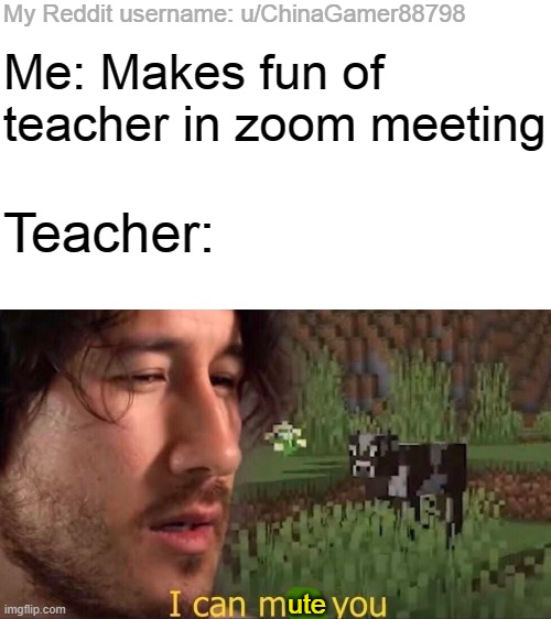 I can mute you | My Reddit username: u/ChinaGamer88798; Me: Makes fun of teacher in zoom meeting; Teacher:; ute | image tagged in i can milk you template | made w/ Imgflip meme maker