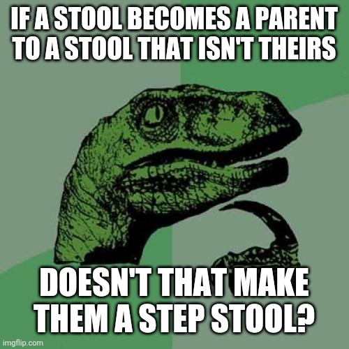 Philosoraptor | IF A STOOL BECOMES A PARENT TO A STOOL THAT ISN'T THEIRS; DOESN'T THAT MAKE THEM A STEP STOOL? | image tagged in memes,philosoraptor,jokes,bad jokes | made w/ Imgflip meme maker