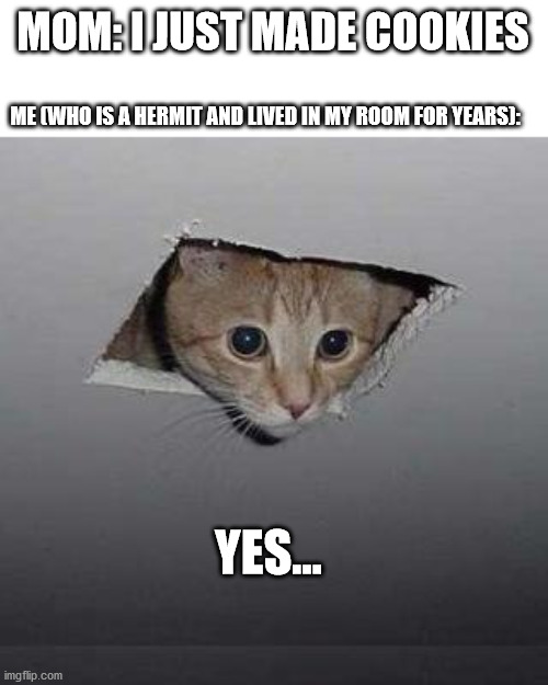 Ceiling Cat | MOM: I JUST MADE COOKIES; ME (WHO IS A HERMIT AND LIVED IN MY ROOM FOR YEARS):; YES... | image tagged in memes,ceiling cat | made w/ Imgflip meme maker