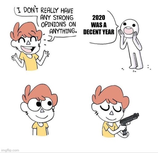 ?? | 2020 WAS A DECENT YEAR | image tagged in i don't really have any strong opinions on anything - bluechair | made w/ Imgflip meme maker
