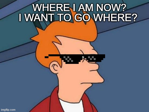 Futurama Fry | WHERE I AM NOW? I WANT TO GO WHERE? | image tagged in memes,futurama fry | made w/ Imgflip meme maker