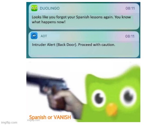 Confused Screaming | image tagged in duolingo,spanish | made w/ Imgflip meme maker