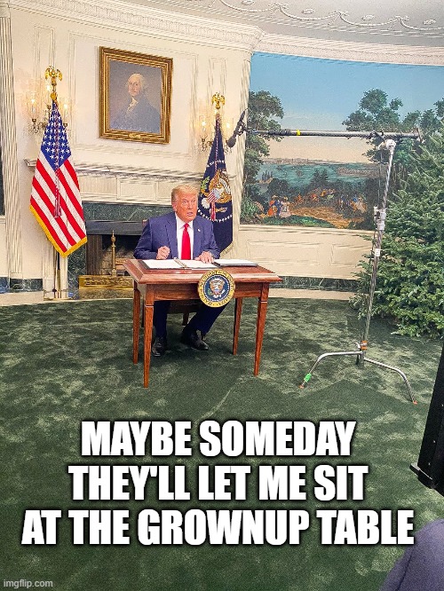 MAYBE SOMEDAY THEY'LL LET ME SIT AT THE GROWNUP TABLE | image tagged in trump,thanksgiving | made w/ Imgflip meme maker