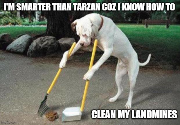 Dog poop | I'M SMARTER THAN TARZAN COZ I KNOW HOW TO CLEAN MY LANDMINES | image tagged in dog poop | made w/ Imgflip meme maker