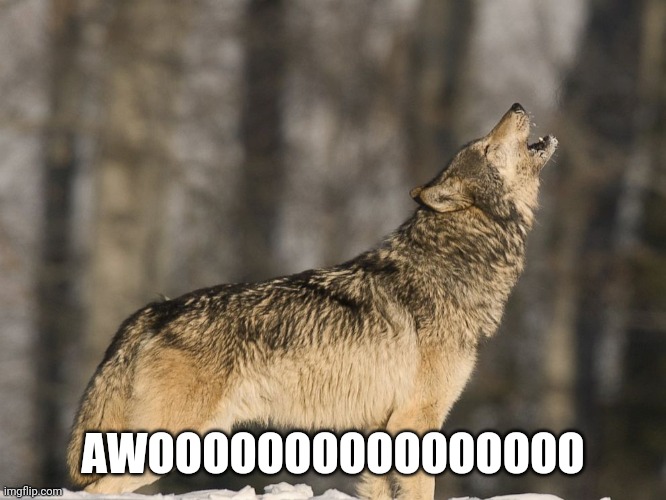 T21 howling | AWOOOOOOOOOOOOOOOO | image tagged in t21 howling | made w/ Imgflip meme maker