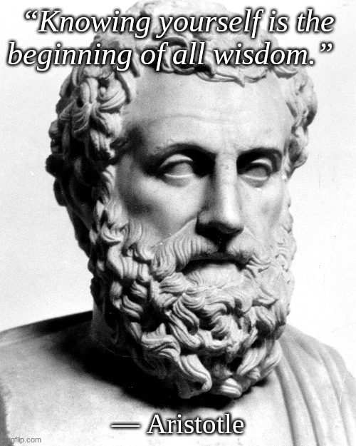  “Knowing yourself is the beginning of all wisdom.”; — Aristotle | image tagged in words of wisdom | made w/ Imgflip meme maker