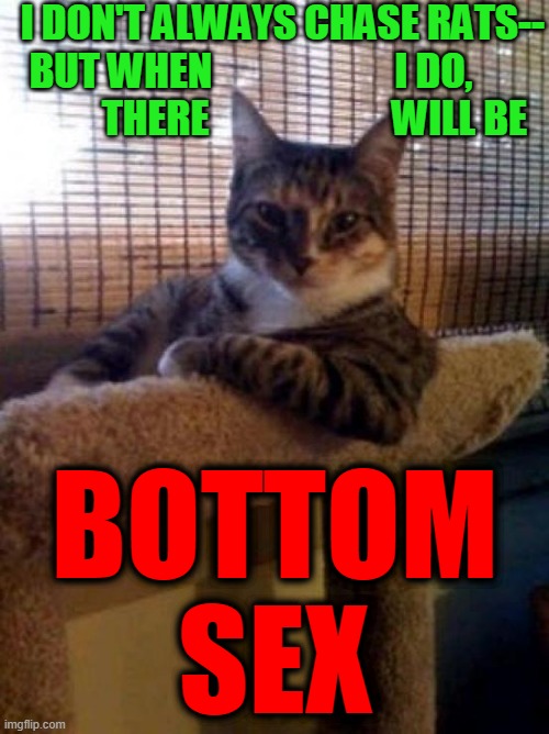 Bottom. Sex. | I DON'T ALWAYS CHASE RATS--
BUT WHEN                       I DO,                 THERE                       WILL BE; BOTTOM
SEX | image tagged in the most interesting cat in the world,there will be sex,chasing rats,dump trump,creepy cat,sick covid king | made w/ Imgflip meme maker