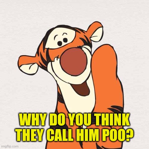 Tigger | WHY DO YOU THINK THEY CALL HIM POO? | image tagged in tigger | made w/ Imgflip meme maker