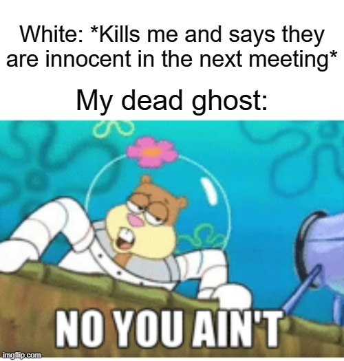 Sandy No You Ain't | White: *Kills me and says they are innocent in the next meeting*; My dead ghost: | image tagged in sandy no you ain't | made w/ Imgflip meme maker