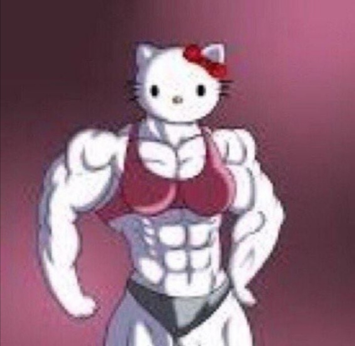 HelloKitty Blank Meme Template