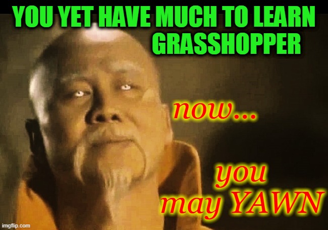 Master Po says | YOU YET HAVE MUCH TO LEARN
                           GRASSHOPPER now...                   you
      may YAWN | image tagged in master po says | made w/ Imgflip meme maker
