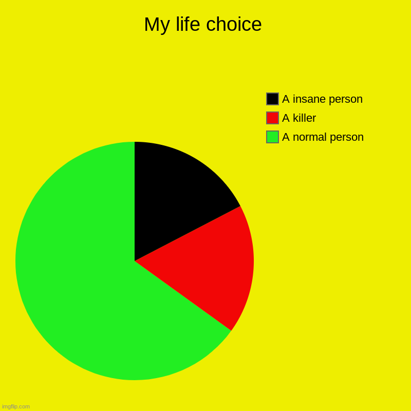 My life choice | A normal person, A killer, A insane person | image tagged in charts,pie charts | made w/ Imgflip chart maker