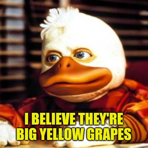 howard the duck | I BELIEVE THEY'RE BIG YELLOW GRAPES | image tagged in howard the duck | made w/ Imgflip meme maker