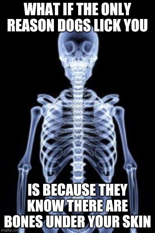 What if? | WHAT IF THE ONLY REASON DOGS LICK YOU; IS BECAUSE THEY KNOW THERE ARE BONES UNDER YOUR SKIN | image tagged in creepy,dogs,bones | made w/ Imgflip meme maker
