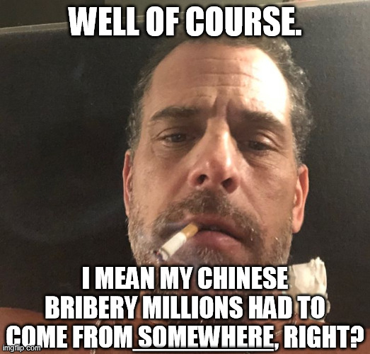 Hunter Biden | WELL OF COURSE. I MEAN MY CHINESE BRIBERY MILLIONS HAD TO COME FROM SOMEWHERE, RIGHT? ________ | image tagged in hunter biden | made w/ Imgflip meme maker